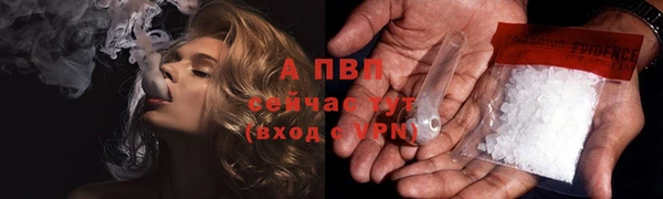 гашик Белокуриха