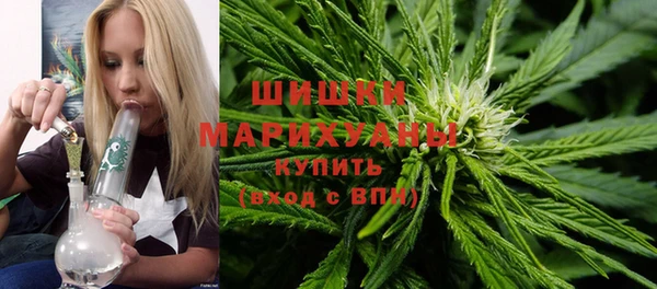 гашик Белокуриха