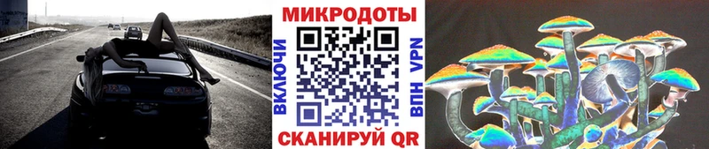 как найти   Первомайск  Галлюциногенные грибы Cubensis 
