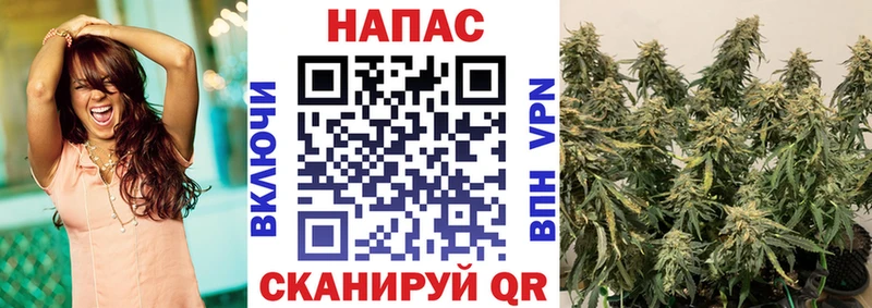 Каннабис ГИДРОПОН Первомайск